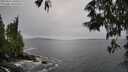 ./images/koeye/fitz-hugh/20250527/fitz-hugh20250527_160510M.jpg