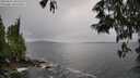 ./images/koeye/fitz-hugh/20250527/fitz-hugh20250527_161510M.jpg
