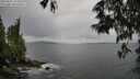 ./images/koeye/fitz-hugh/20250527/fitz-hugh20250527_163510M.jpg