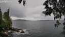./images/koeye/fitz-hugh/20250527/fitz-hugh20250527_164509M.jpg