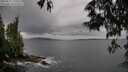./images/koeye/fitz-hugh/20250527/fitz-hugh20250527_170510M.jpg