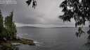 ./images/koeye/fitz-hugh/20250527/fitz-hugh20250527_173009M.jpg