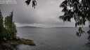 ./images/koeye/fitz-hugh/20250527/fitz-hugh20250527_173510M.jpg
