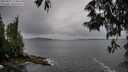 ./images/koeye/fitz-hugh/20250527/fitz-hugh20250527_174008M.jpg