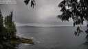 ./images/koeye/fitz-hugh/20250527/fitz-hugh20250527_175010M.jpg