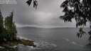 ./images/koeye/fitz-hugh/20250527/fitz-hugh20250527_180012M.jpg
