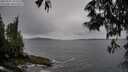 ./images/koeye/fitz-hugh/20250527/fitz-hugh20250527_183509M.jpg