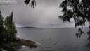 ./images/koeye/fitz-hugh/20250527/fitz-hugh20250527_190508M.jpg