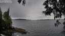 ./images/koeye/fitz-hugh/20250527/fitz-hugh20250527_192509M.jpg