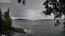 ./images/koeye/fitz-hugh/20250527/fitz-hugh20250527_193509M.jpg