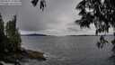 ./images/koeye/fitz-hugh/20250527/fitz-hugh20250527_194008M.jpg