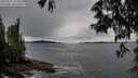 ./images/koeye/fitz-hugh/20250527/fitz-hugh20250527_194508M.jpg