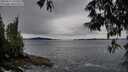 ./images/koeye/fitz-hugh/20250527/fitz-hugh20250527_195009M.jpg