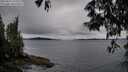 ./images/koeye/fitz-hugh/20250527/fitz-hugh20250527_195508M.jpg