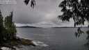 ./images/koeye/fitz-hugh/20250527/fitz-hugh20250527_200009M.jpg