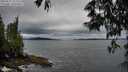 ./images/koeye/fitz-hugh/20250527/fitz-hugh20250527_203508M.jpg