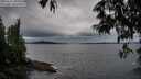 ./images/koeye/fitz-hugh/20250527/fitz-hugh20250527_205009M.jpg
