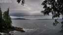 ./images/koeye/fitz-hugh/20250527/fitz-hugh20250527_210508M.jpg