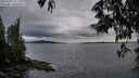 ./images/koeye/fitz-hugh/20250527/fitz-hugh20250527_211508M.jpg