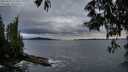 ./images/koeye/fitz-hugh/20250527/fitz-hugh20250527_212007M.jpg
