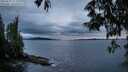 ./images/koeye/fitz-hugh/20250527/fitz-hugh20250527_212507M.jpg