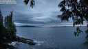 ./images/koeye/fitz-hugh/20250527/fitz-hugh20250527_213009M.jpg