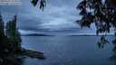 ./images/koeye/fitz-hugh/20250527/fitz-hugh20250527_213509M.jpg