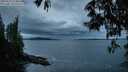 ./images/koeye/fitz-hugh/20250527/fitz-hugh20250527_214008M.jpg