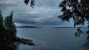 ./images/koeye/fitz-hugh/20250527/fitz-hugh20250527_214509M.jpg