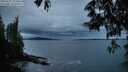 ./images/koeye/fitz-hugh/20250527/fitz-hugh20250527_215009M.jpg