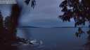 ./images/koeye/fitz-hugh/20250528/fitz-hugh20250528_044009M.jpg