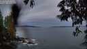 ./images/koeye/fitz-hugh/20250528/fitz-hugh20250528_045508M.jpg