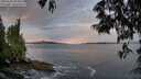 ./images/koeye/fitz-hugh/20250528/fitz-hugh20250528_054009M.jpg