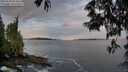./images/koeye/fitz-hugh/20250528/fitz-hugh20250528_054506M.jpg