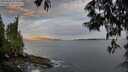 ./images/koeye/fitz-hugh/20250528/fitz-hugh20250528_055009M.jpg