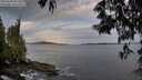 ./images/koeye/fitz-hugh/20250528/fitz-hugh20250528_055509M.jpg