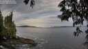 ./images/koeye/fitz-hugh/20250528/fitz-hugh20250528_060011M.jpg