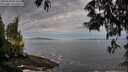 ./images/koeye/fitz-hugh/20250528/fitz-hugh20250528_063011M.jpg