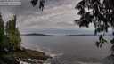 ./images/koeye/fitz-hugh/20250528/fitz-hugh20250528_063510M.jpg