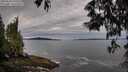 ./images/koeye/fitz-hugh/20250528/fitz-hugh20250528_070510M.jpg