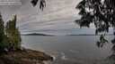 ./images/koeye/fitz-hugh/20250528/fitz-hugh20250528_071509M.jpg