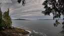 ./images/koeye/fitz-hugh/20250528/fitz-hugh20250528_072510M.jpg