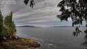 ./images/koeye/fitz-hugh/20250528/fitz-hugh20250528_073507M.jpg