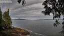 ./images/koeye/fitz-hugh/20250528/fitz-hugh20250528_075010M.jpg