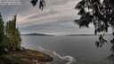 ./images/koeye/fitz-hugh/20250528/fitz-hugh20250528_081009M.jpg