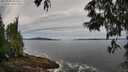 ./images/koeye/fitz-hugh/20250528/fitz-hugh20250528_085010M.jpg