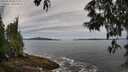 ./images/koeye/fitz-hugh/20250528/fitz-hugh20250528_085509M.jpg