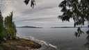./images/koeye/fitz-hugh/20250528/fitz-hugh20250528_090510M.jpg