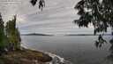 ./images/koeye/fitz-hugh/20250528/fitz-hugh20250528_091510M.jpg