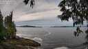 ./images/koeye/fitz-hugh/20250528/fitz-hugh20250528_095510M.jpg
